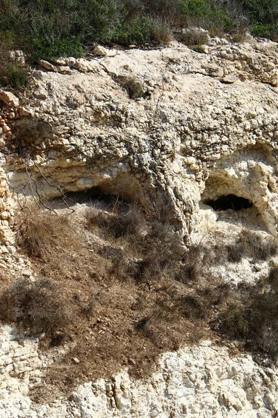 Texture of stone and rocks — Stock Photo, Image