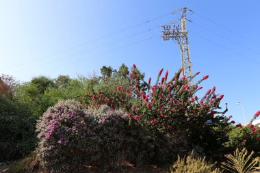 yüksek elektrik direği 