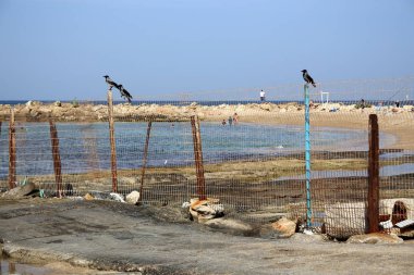 Çitin her zaman sınırı olduğunu 