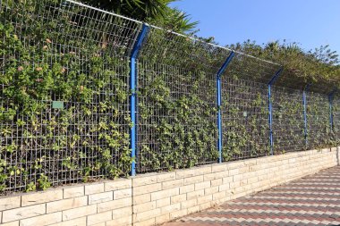 Çitin her zaman sınırı olduğunu 