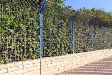 Çitin her zaman sınırı olduğunu 