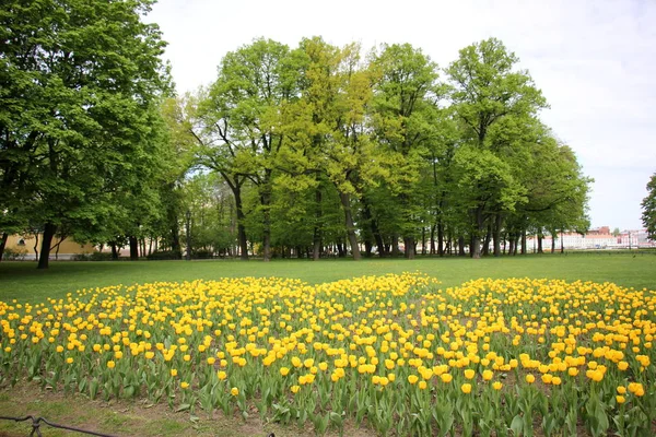 St. Petersburg, Petrograd — Stock Photo, Image