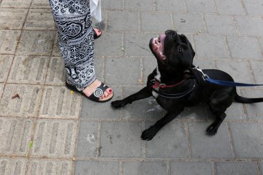 rasgele şehir fotoğraf 