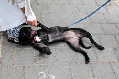 rasgele şehir fotoğraf 