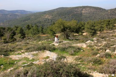 rasgele şehir fotoğraf 