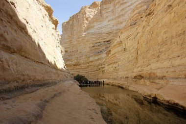 rasgele şehir fotoğraf 
