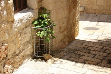 Jerusalem İsrail devletinin başkentidir. 