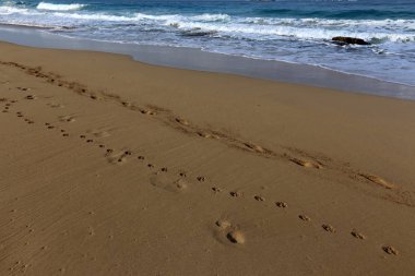 Kumda ayak izleri 