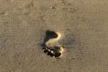 Kumda ayak izleri 