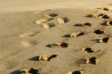 Kumda ayak izleri 