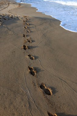 Kumda ayak izleri 