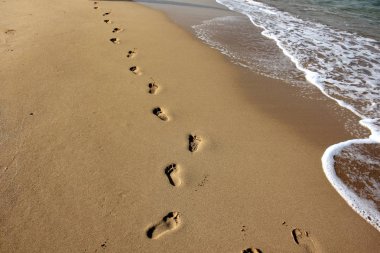 Kumda ayak izleri 