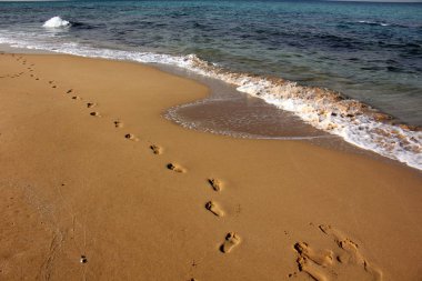 Kumda ayak izleri 