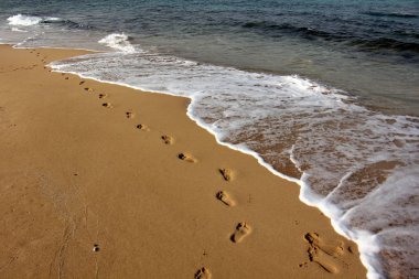 Kumda ayak izleri 
