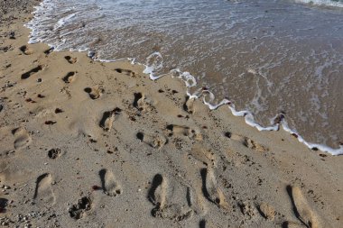 Kumda ayak izleri 