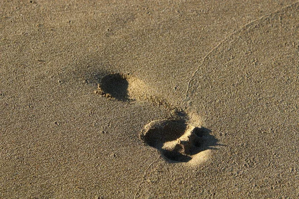 Pegadas na areia — Fotografia de Stock