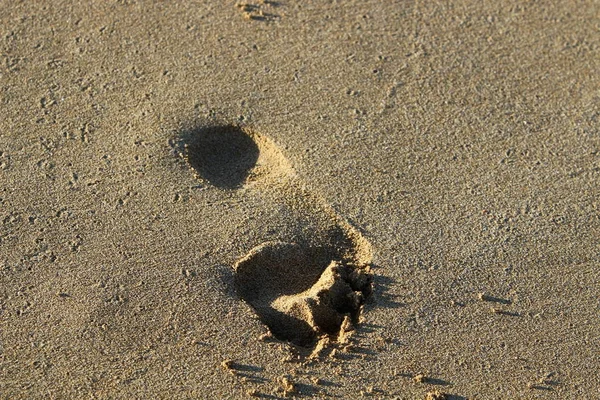 Footprints in the sand — Stock Photo, Image