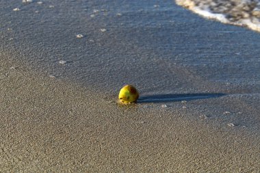 Natürmort cansız nesneler bir görüntüsüdür 
