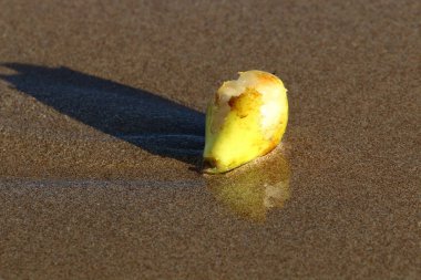 Natürmort cansız nesneler bir görüntüsüdür 