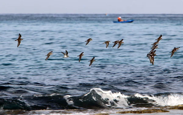 İsrail 'in kuzeyindeki Akdeniz kıyısında. 