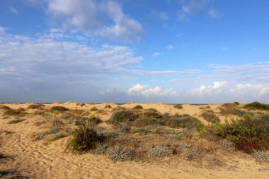 Başının üstüne büyük bir gökyüzü 