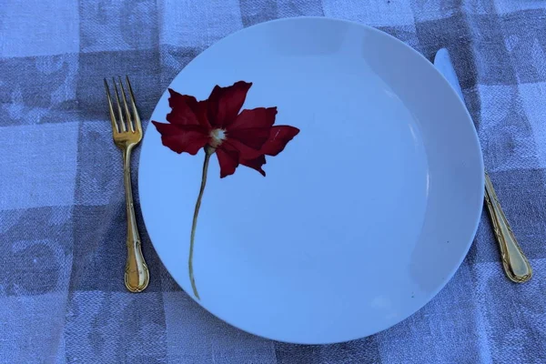 Dağ Manzaralı Balkonda Yemek Masası — Stok fotoğraf