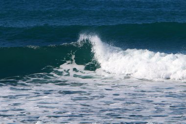 İsrail 'in kuzeyindeki Akdeniz kıyısında.