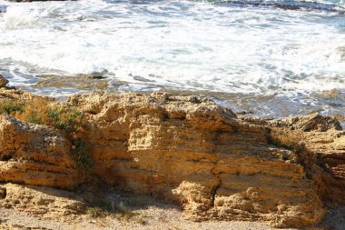 İsrail 'in kuzeyindeki Akdeniz kıyısında.
