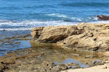 İsrail 'in kuzeyindeki Akdeniz kıyısında.