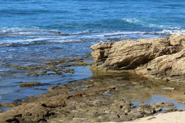 İsrail 'in kuzeyindeki Akdeniz kıyısında.