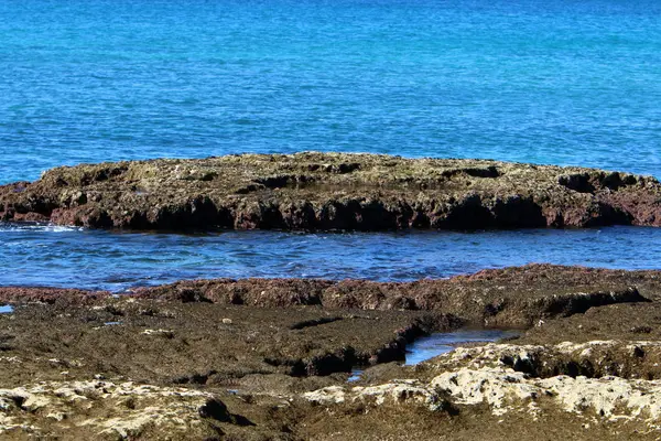 İsrail 'in kuzeyindeki Akdeniz kıyısında.