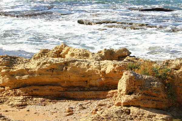 Coast Mediterranean Sea North Israel — Stock Photo, Image