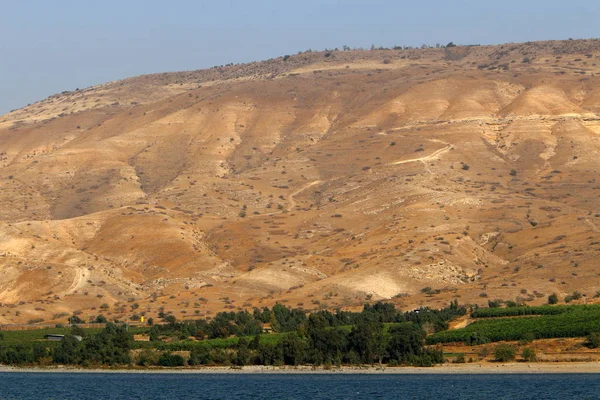 イスラエル共和国の北東の淡水湖ティベリアス湖 湖のキブツ キネレット — ストック写真