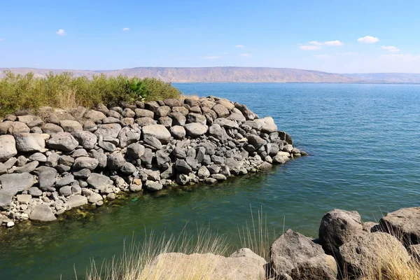 Gölü Kıyısındaki Kinneret Tiberias Gölü Kuzey Srail Tatlısu Gölü — Stok fotoğraf
