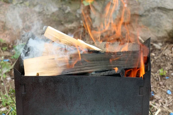 Fuego Fase Principal Del Proceso Combustión Tiene Propiedad Auto Propagación — Foto de Stock