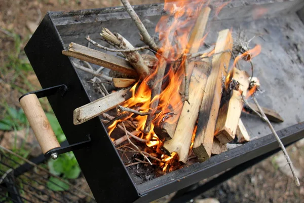 Feuer Ist Die Hauptphase Des Verbrennungsprozesses Und Besitzt Die Eigenschaft — Stockfoto