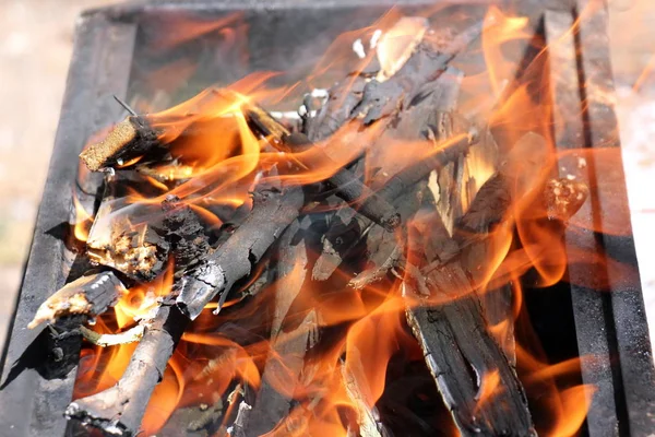 Fire is the main phase of the combustion process and has the property of self-propagation.