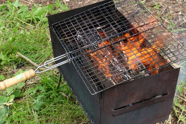 Fuego Fase Principal Del Proceso Combustión Tiene Propiedad Auto Propagación — Foto de Stock