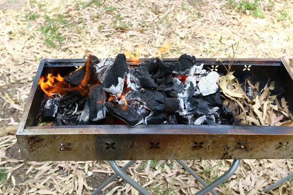 Fuego Fase Principal Del Proceso Combustión Tiene Propiedad Auto Propagación — Foto de Stock