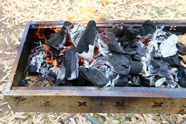 Fuoco Fase Principale Del Processo Combustione Proprietà Auto Propagazione — Foto Stock