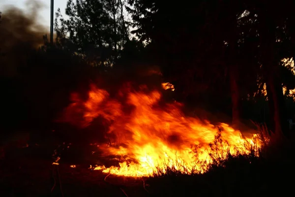 Feuer Ist Die Hauptphase Des Verbrennungsprozesses Und Besitzt Die Eigenschaft — Stockfoto