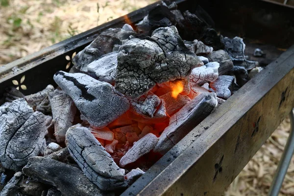 Φωτιά Είναι Κύρια Φάση Της Διαδικασίας Καύσης Και Έχει Την — Φωτογραφία Αρχείου