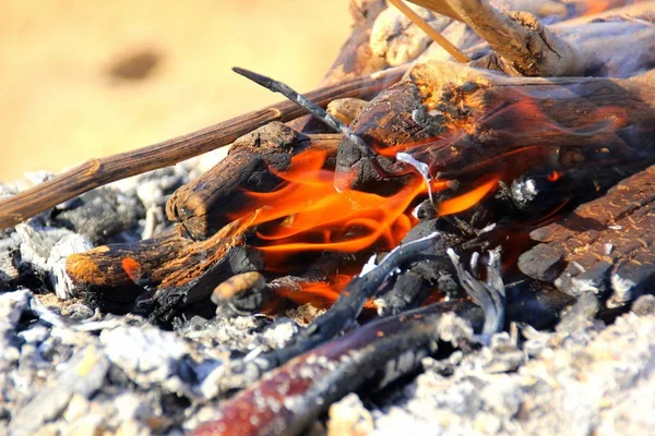 Fuoco Fase Principale Del Processo Combustione Proprietà Auto Propagazione — Foto Stock