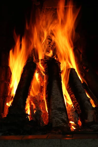 Ogień Jest Główny Etap Procesu Spalania Właściwości Samodzielnego Rozmnażania — Zdjęcie stockowe
