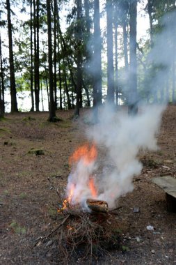 Yangın yanma işlemi ana aşaması ve otomatik yayılma özelliğine sahiptir. 