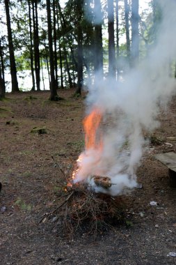 Yangın yanma işlemi ana aşaması ve otomatik yayılma özelliğine sahiptir. 