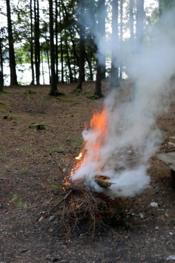 Yangın yanma işlemi ana aşaması ve otomatik yayılma özelliğine sahiptir. 