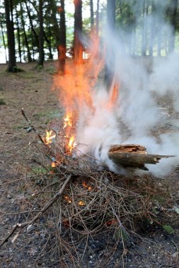 Yangın yanma işlemi ana aşaması ve otomatik yayılma özelliğine sahiptir. 