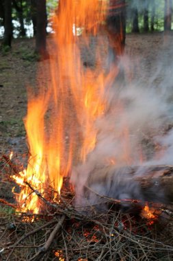 Yangın yanma işlemi ana aşaması ve otomatik yayılma özelliğine sahiptir. 