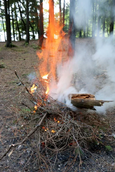 Feu Est Phase Principale Processus Combustion Propriété Auto Propagation — Photo